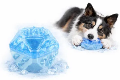 Productafbeelding van Flamingo, speelgoed voor honden, TPR, "Snowy Ball", blauw