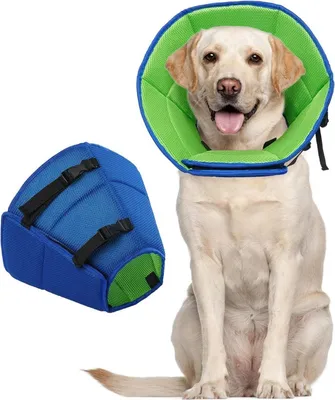Image de Collier Kuoser pour chien Protection contre les fuites Collier de protection Réglable bleu L