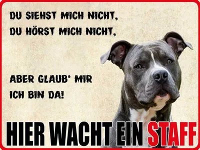Produktbild von vianmo Holzschild 30x40 cm Hund Hier wacht ein Staff