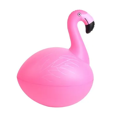 Image de Topool CT212FG Lampe solaire flottante Flamant pour piscine et jardin – Décoration LED