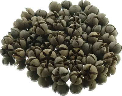 Produktbild von Weihnachtsdeko Feuerdorn Fruchtkapseln Ø 2-3 cm - 200 Gramm
