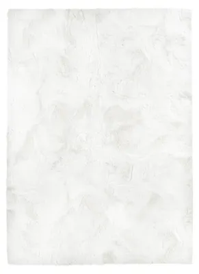 Produktbild von PASSUA Hochflor-Teppich Dave, rechteckig, 200 x 160 cm, Weiß