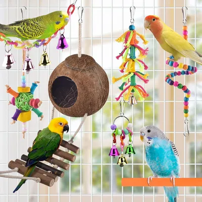 Image de ERKOON Jouets pour oiseaux perruches - Hamac, Cloche, Balançoire, Jouets en bois, Jouets à mâcher