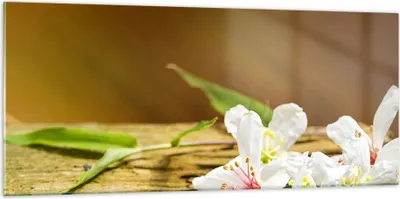 Produktbild von Bilder auf glas - Asien spa bambus blume - 120x50cm - Glasbilder - Wandbilder - Kunstdruck - zum Aufhängen bereit - Wanddekoration aus Glas - Glas Bilder - Wandbild auf Glas - GAB120x50-2499