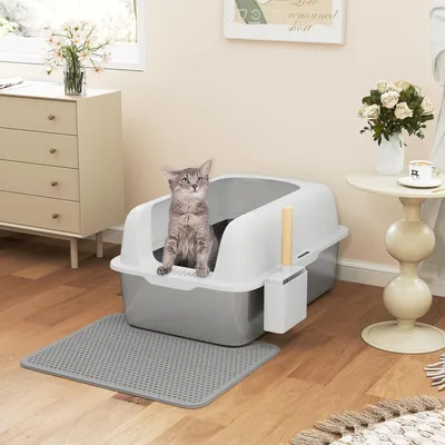 Produktbild von Edelstahl Katzenklo Katzentoilette 30L XXL mit Fußmatte Schaufel, 60x40x30cm
