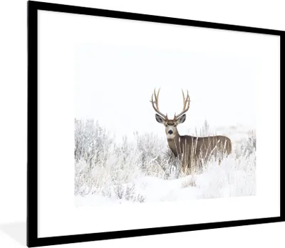 Produktbild von MuchoWow® Gerahmtes Poster Hirsche - Winter - Schnee - Tiere - Jahreszeiten - Weiß 80x60 cm - Poster mit Schwarzem Bilderrahmen Wandposter Rahmen Foto Bilder - Schlafzimmer-Dekorationen - Fotoposter