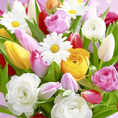 Produktbild von RP 20 Cocktailservietten Colourful Greetings - Bunter Blumengruß 24x24cm