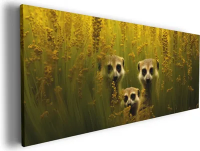Produktbild von Wallario Premium Leinwandbild Versteckspiel im Feld in Größe 60 x 150 cm