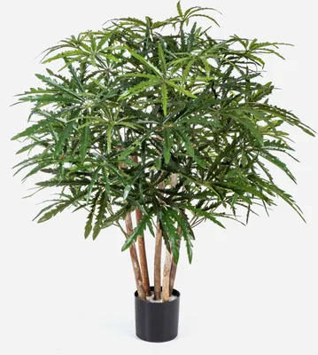 Produktbild von artplants.de Kunst Fingeraralie MAKASIM, Echtstämme, grün, 85cm - Grünpflanze künstlich