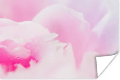Produktbild von MuchoWow® Poster Nahaufnahme der Blütenblätter der rosa Pfingstrose 180x120 cm - Fotoplakat