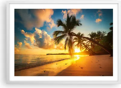 Produktbild von Gerahmtes Poster - Weißer Rahmen - Meer Strand Palme - 70x50 cm - Wand Bild - Wanddeko - Wandbilder - Kunstposter - Wandposter - Bilderrahmen - Bilder - Kunstdruck - Wandbild - P2WAA70x50-3922