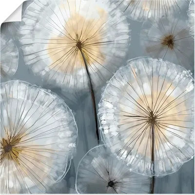 Produktbild von ARTland Poster Abstrakte Pusteblumen Wiese Größe: 50x50 cm