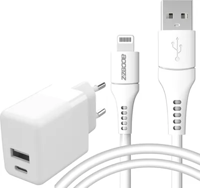 A white wall charger and a white Lightning to USB cable are displayed against a white background.