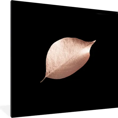 Produktbild von MuchoWow® MuchoWow® Gerahmtes Poster Gold - Rosa - Blatt 40x40 cm - Poster mit zchwarzem Bilderrahmen - Mit Rahmen - Wanddekoration Schlafzimmer