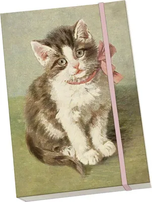 Immagine prodotto di Notýsek Cats