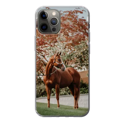 Produktbild von MuchoWow® Handyhülle Schutzhülle Hülle für iPhone 13 Pro Pferd - Baum - Halfter Silikon Softcase Handy Hülle - Handy-Tasche