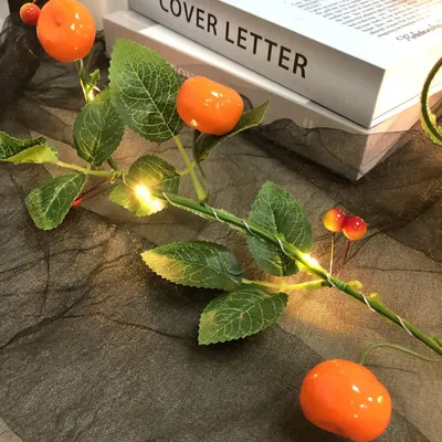 Produktbild von Künstliche Mandarine Lichterkette 2m 20 LEDs warmweiß batteriebetrieben 2 Modi