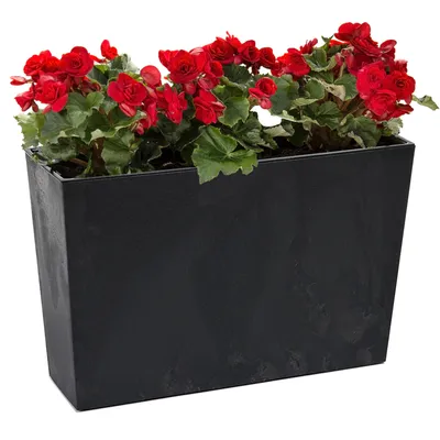 Obrázek produktu pro Balkonový truhlík Květinový truhlík Vložka do květináče Vzhled betonu Černá Obdélníková 56x19 H36,5cm Povrch Matný plast Moderní Glamour