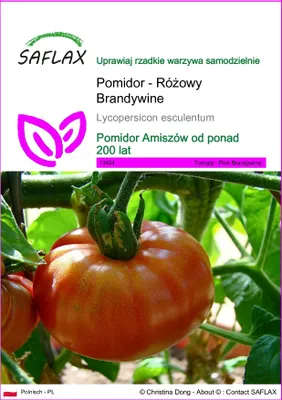 Zdjęcie produktu dla SAFLAX - Pomidor - Różowy Brandywine - 10 Nasiona - Lycopersicon esculentum
