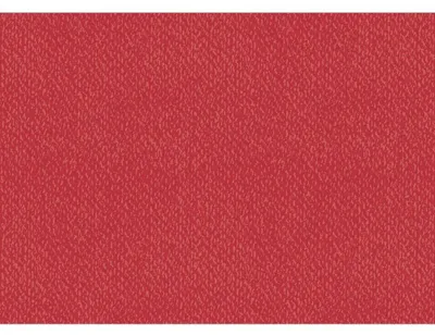 Produktbild von Baier und Schneider Unikarton 50 x 70 cm, Mittelrot