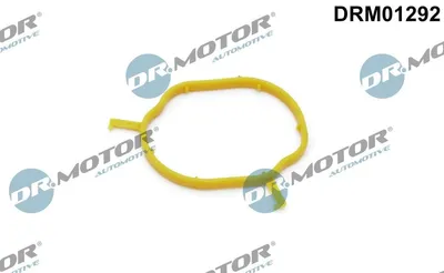Produktbild von DR.MOTOR AUTOMOTIVE Dichtung Kühlmittelrohrleitung DRM01292 für VW GOLF VI (5K1)
