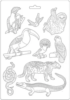 Immagine prodotto di STAMPERIA stampo flessibile per colata di plastica Stampo decorativo, animali selvatici dell'Amazzonia