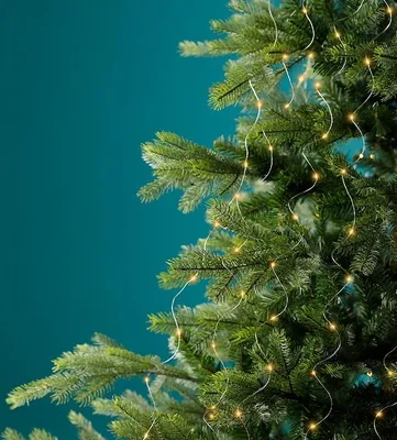 Close-up of a Christmas tree with lights.