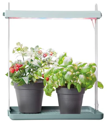 Obrázek produktu pro elho 8711904334437, Kov, Plast, Zelená, Vnitřní, 100%, 3900 mm, 2700 mm