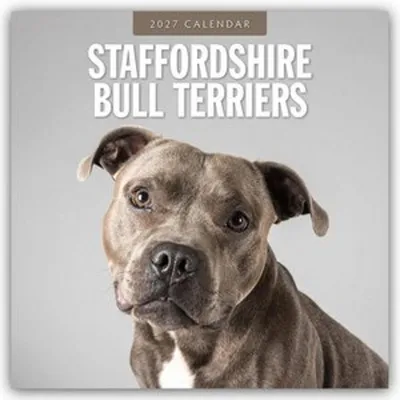 Obrázek produktu pro Staffordshirští bulteriéři - Kalendář Staffordshire Bullterrier 2027 (kalendář na 16 měsíců)