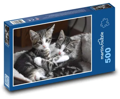 Obrázek produktu pro martinpuzzle - Puzzle 500 - Roztomilá koťátka