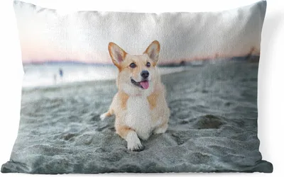 Produktbild von MuchoWow® Outdoor Kissen - Hund am Strand - 60x40 cm - Wetterfest - Lounge Kissen - Zierkissen - Kissen für Innenräume
