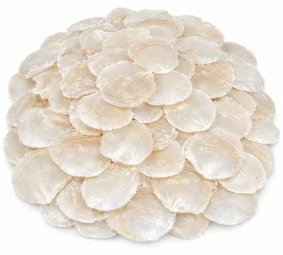 Produktbild von Perlmuttscheiben natur 1 kg ca. 200-300 Stück Capiz durchscheinend Deko Lampe