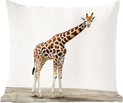 Produktbild von MuchoWow® Zierkissen Sofakissen Wohnzimmer Dekokissen 45x45 cm Giraffe - Tiere - Weißer Hintergrund - Kinder - Junge - Mädchen - Schlafpolster - Polster für das Sofa