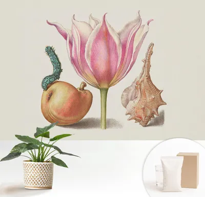 Produktbild von Fototapete  - 152x104 cm - Tapete - Wandtapete - Wandbilder  - Dekofolie - Tapete Folie - Wand - Dekoration - Wohnzimmer - Natürliche Symbiose