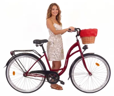 Produktbild von Dallas Bike Damenfahrrad 28 Zoll - Mit Weidenkorb - 1-Gang Rücktritt - Rahmen M 18" - Rot-Schwarz