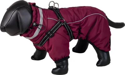 Produktbild von Nobby Hundemantel Elor 2 in 1 bordeaux, Größe: 44 cm