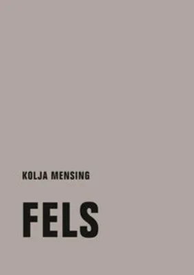 Obrázok produktu pre Mensing, K: Fels