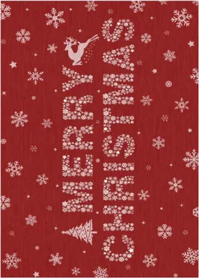 Immagine prodotto di Tappeto natalizio - Tappeto 40×60 cm - Lavabile in lavatrice - Fondo antiscivolo - Morbido pelo corto - 100% poliestere - Rosso