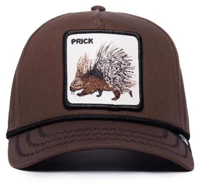 Produktbild von Goorin Bros. Porcupine 100 - ALL OVER CANVAS Trucker Cap dark brown