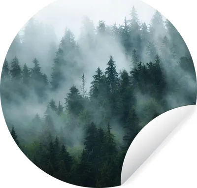 Produktbild von MuchoWow® Runde Wandtattoo - Wandsticker Tapete Aufkleber Nebel - Bäume - Wald Ø 50 cm Selbstklebend und Repositionierbar - Wandaufkleber - Kreis - Wand Kreis - Wand Bild - Foto Tapete - Selbstklebende - Wohnzimmerdekoration - Wand Dekoration - Kinderzimmer