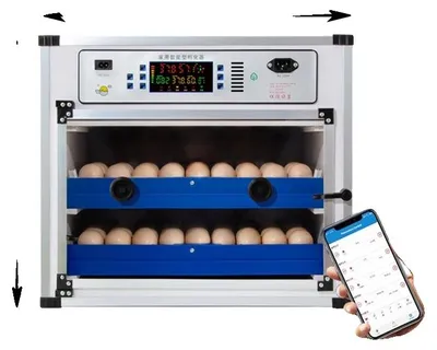 Image de Incubateur d'œufs, grande capacité, double alimentation, compatible avec 136 œufs, tension AC 220V et DC 12V