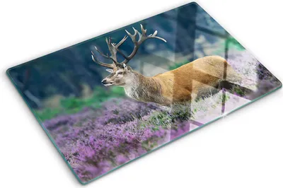 Obrázek produktu pro Kryt varné desky – Kryt na indukční desku – Ochranná skleněná deska – 80x52 cm– Skleněné ochranné desky na sporák –Tvrzené sklo –Jelen v levanduli