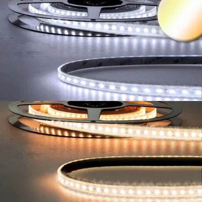 Produktbild von ISOLED LED CRI923/950 Flexband Streifen, 24V, 10W/10W, IP68, weißdynamisch, 240 LED/m