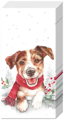Produktbild von Papiertaschentücher "Louie"