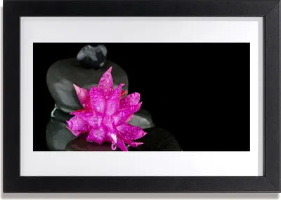 Produktbild von Bild 30x20 MDF-Rahmen Wandkunst Blumen-Schwarz-Steine