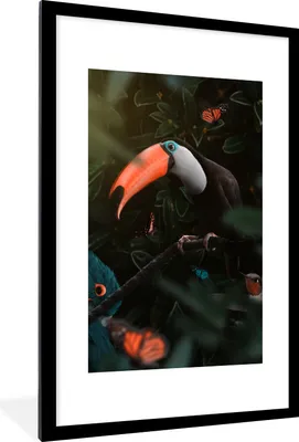Produktbild von MuchoWow® MuchoWow® Gerahmtes Poster Tukan - Vogel - Schmetterling 60x90 cm - Poster mit zchwarzem Bilderrahmen - Dekoration - Wandposter Wohnzimmer - Hochwertig