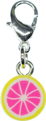 Produktbild von Grapefruit Charm Miniblings Zipper Pull Anhänger Orange Limette Frucht Scheibe