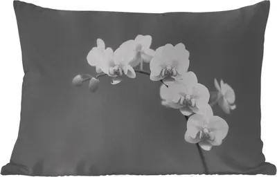 Produktbild von MuchoWow® Outdoor Kissen - Orchidee - Blumen - Pflanze - Weiß - Lila - 50x30 cm - Wetterfest - Lounge Kissen - Sofa kissen - Wohnzimmer Dekoration
