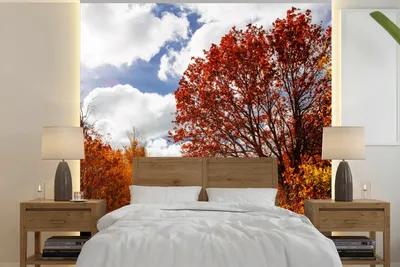 Produktbild von MuchoWow® Fototapete für Wohnzimmer oder Schlafzimmer Wandtapete Vinyl Motivtapete Baum - Weg - Herbst - 300x300 cm - Wanddekoration