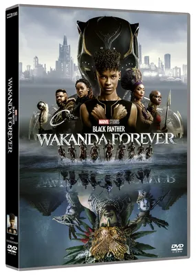 Productafbeelding van Black Panther - Wakanda voor altijd